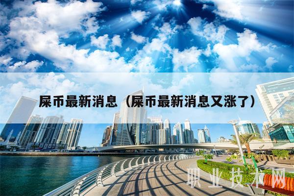 屎币最新消息(屎币最新消息又涨了)