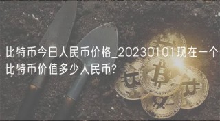 比特币今日人民币价格_20230101现在一个比特币价值多少人民币?
