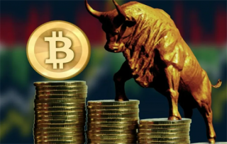 波卡币的最高价格是多少? 波卡币有没有价值?