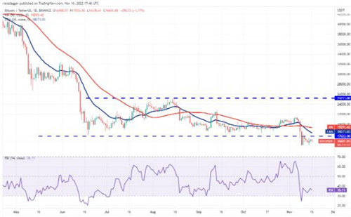 比特币今日最新价格 BTC最新行情分析资讯-第2张图片-欧易下载 比特币今日最新价格 BTC最新行情分析资讯-第2张图片-欧易下载