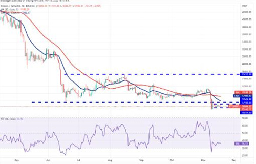 比特币价格今日行情 比特币今日最新消息-第2张图片-欧易下载 比特币价格今日行情 比特币今日最新消息-第2张图片-欧易下载