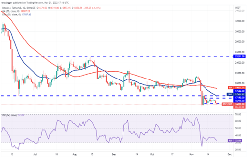 比特币近日最新价格 比特币今日最新消息-第2张图片-欧易下载 比特币近日最新价格 比特币今日最新消息-第2张图片-欧易下载