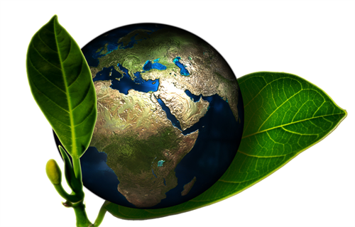 环保币最高价格是多少 GEC官方最新消息-第1张图片-欧易下载 环保币最高价格是多少 GEC官方最新消息-第1张图片-欧易下载