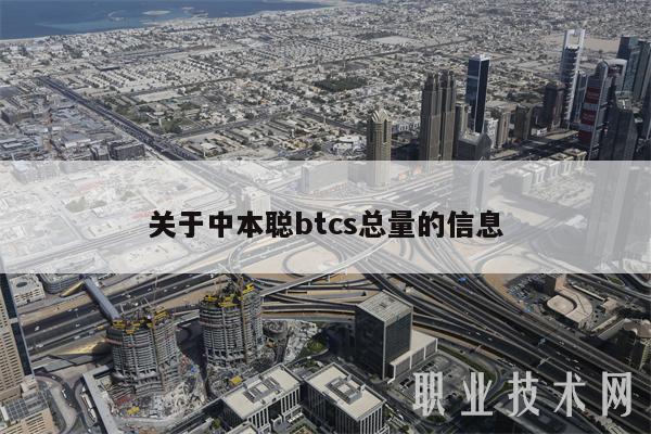 关于中本聪btcs总量的信息