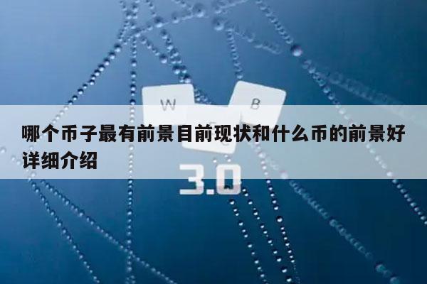 哪个币子最有前景目前现状和什么币的前景好详细介绍