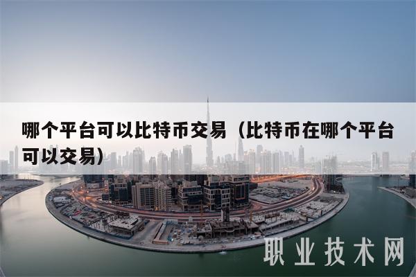 哪个平台可以比特币交易(比特币在哪个平台可以交易)