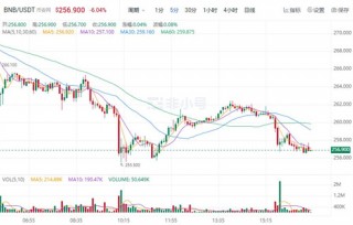 binanc币最新价格 binanc币今日最新行情消息