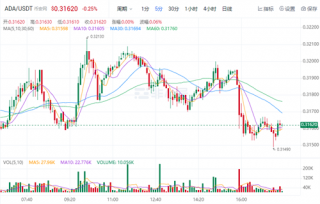 艾达币今日最新价格 ADA今日最新行情消息