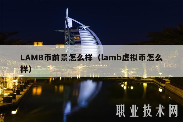 LAMB币前景怎么样(lamb虚拟币怎么样)