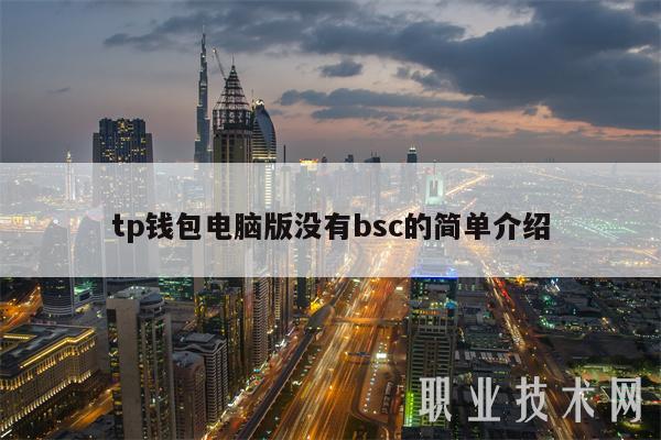 tp钱包电脑版没有bsc的简单介绍