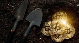 tc最新报价(tc 价格)