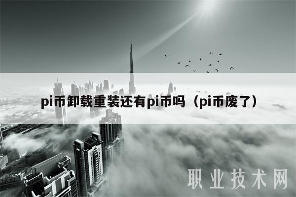 pi币卸载重装还有pi币吗(pi币废了)
