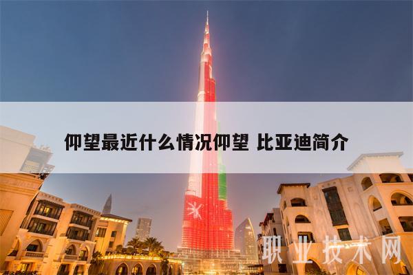 仰望最近什么情况仰望 比亚迪简介