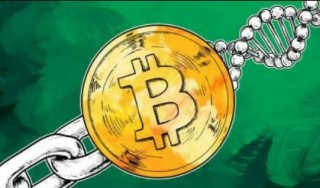 2022年雷达币开网在即(雷达币最新消息2021年)