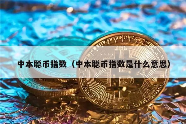 中本聪币指数（中本聪币指数是什么意思）-第1张图片-欧易下载