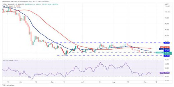 2022价格分析：BTC、ETH、BNB、XRP、ADA、SOL、DOGE、DOT、MATIC、SHIB-第7张图片-欧易下载