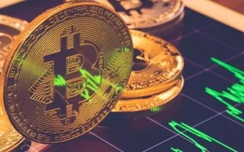 王珂又欠下巨额12亿比特币(王珂比特币平台)-第1张图片-欧易下载