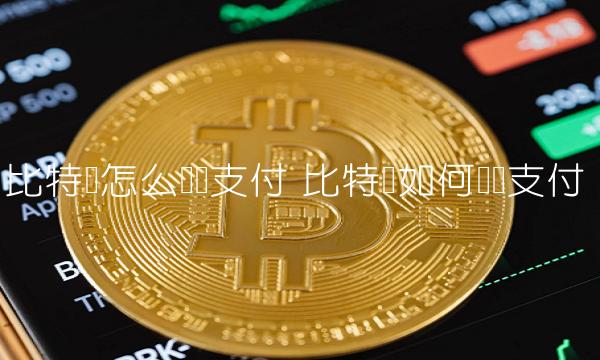 比特币怎么扫码支付-第1张图片-欧易下载