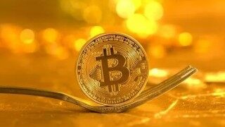 夸克币价格(夸克币官网)