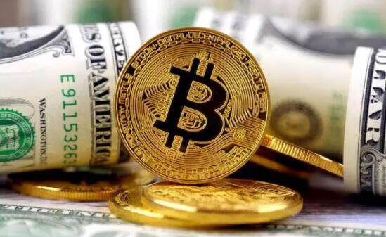 莱特币价格今日行情(莱特币价格今日行情透明实时价格)-第1张图片-欧易下载