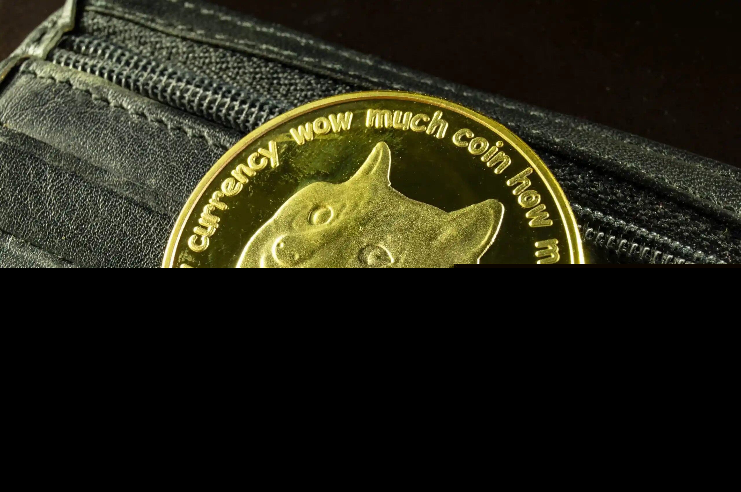 狗狗币钱包app_狗狗币钱包下载官网手机版-第3张图片-欧易下载