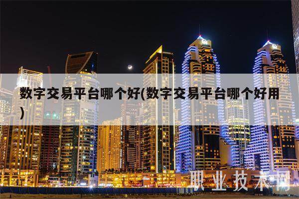 数字交易平台哪个好(数字交易平台哪个好用)-第1张图片-欧易下载