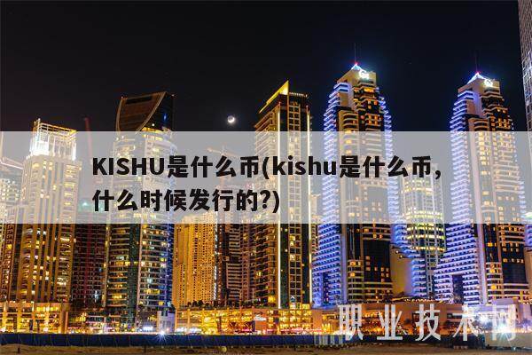 KISHU是什么币(kishu是什么币,什么时候发行的?)-第1张图片-欧易下载