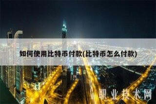 如何使用比特币付款(比特币怎么付款)