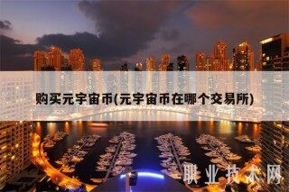 购买元宇宙币(元宇宙币在哪个交易所)