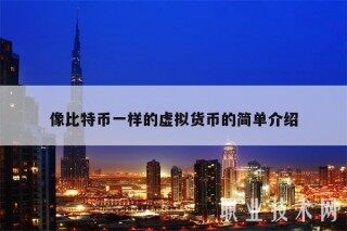 像比特币一样的虚拟货币的简单介绍