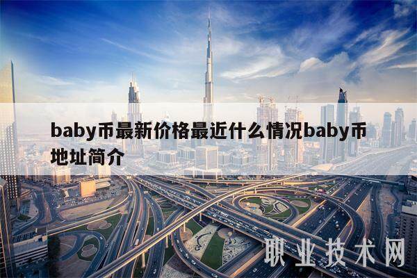 baby币最新价格最近什么情况baby币地址简介-第1张图片-欧易下载