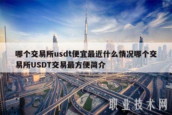 哪个交易所usdt便宜最近什么情况哪个交易所USDT交易最方便简介-第1张图片-欧易下载