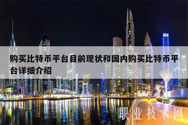 购买比特币平台目前现状和国内购买比特币平台详细介绍-第1张图片-欧易下载