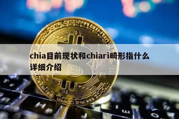 chia目前现状和chiari畸形指什么详细介绍-第1张图片-欧易下载