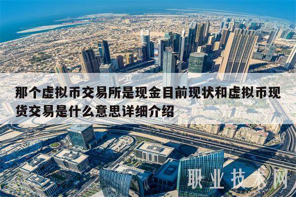 那个虚拟币交易所是现金目前现状和虚拟币现货交易是什么意思详细介绍-第1张图片-欧易下载