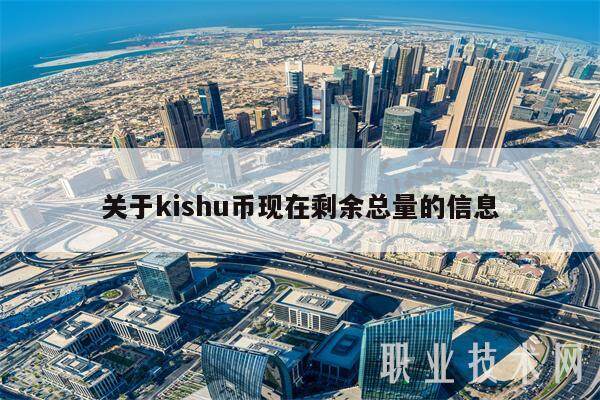关于kishu币现在剩余总量的信息-第1张图片-欧易下载