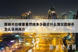 露娜币在哪里看燃烧多少最近什么情况露娜币怎么获得简介