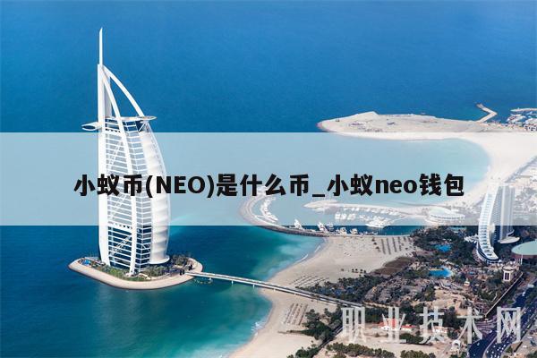 小蚁币(NEO)是什么币_小蚁neo钱包